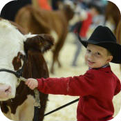 Expo Boeuf Victoriaville Quebec