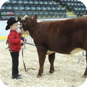 Expo Boeuf Victoriaville Quebec
