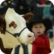 Expo Boeuf Victoriaville Quebec