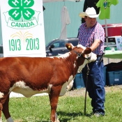 Lachute 2013 Jay