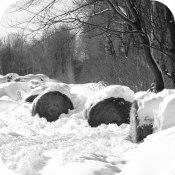 Winter 2014