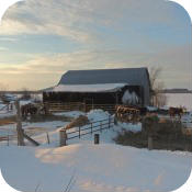 Barn 2014